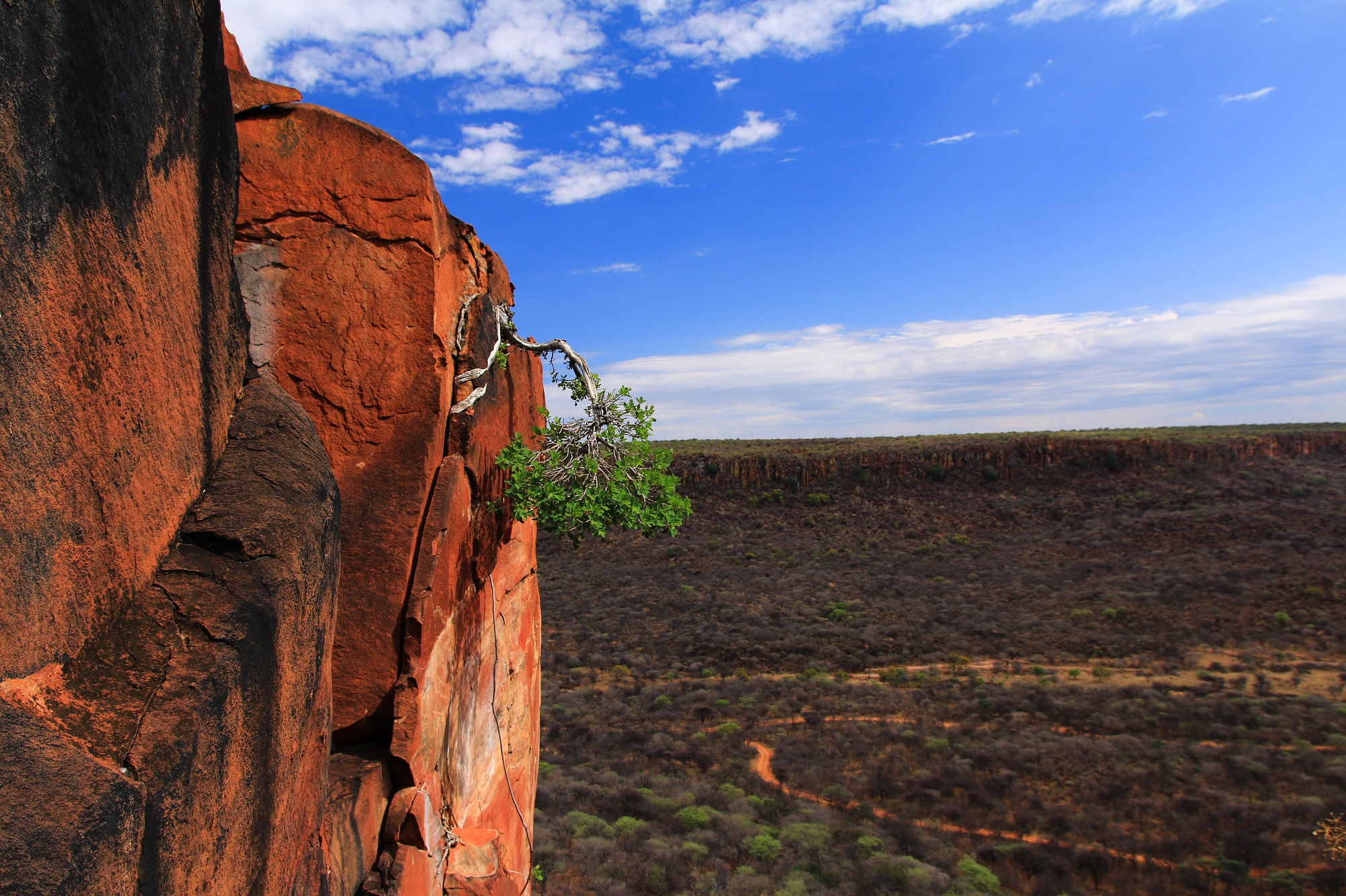 Plateau de Waterberg