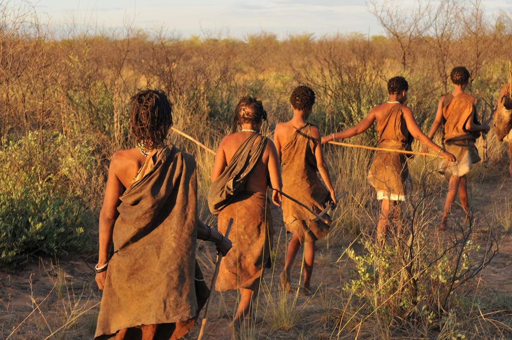 bushmen in the kalahari desert