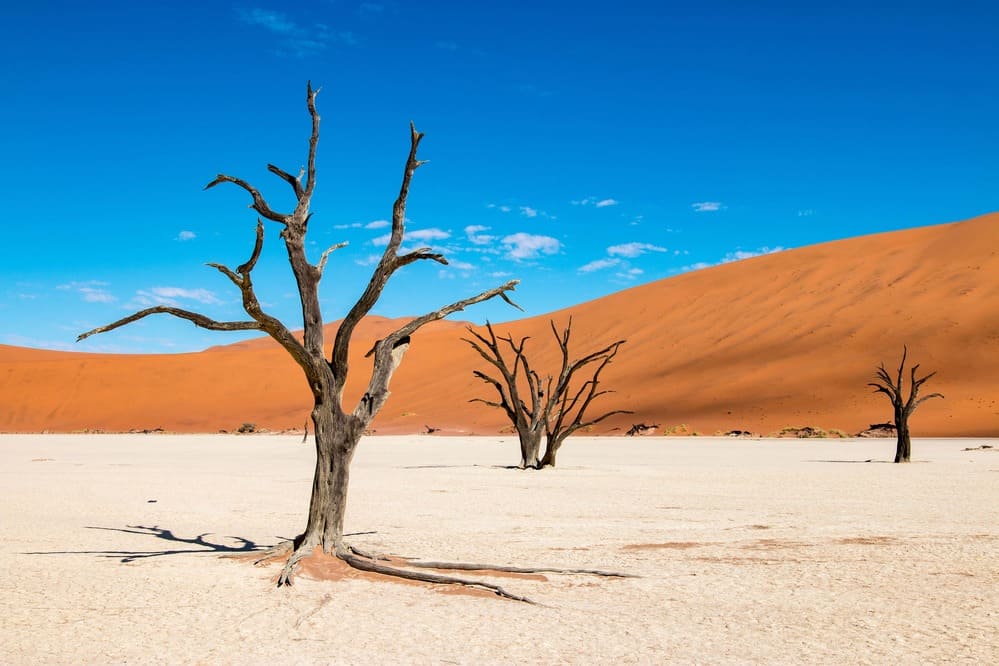 désert de namib