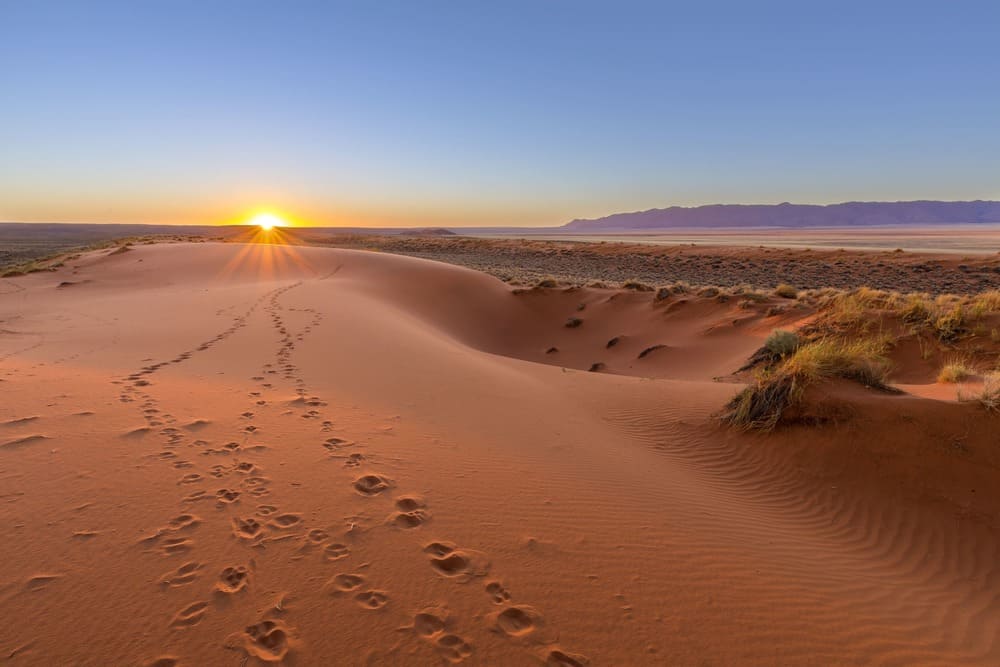 desert de kalahari botswana