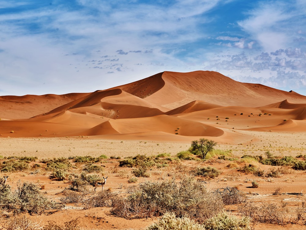 desert de namib