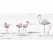 Flamants Roses à Walvis Bay