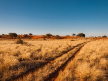 Sandpiste in der Kalahari, Namibia, Abendstimmung