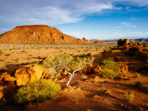 Damaraland