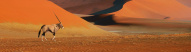 Désert de Namib​