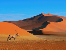 Désert de Namib​