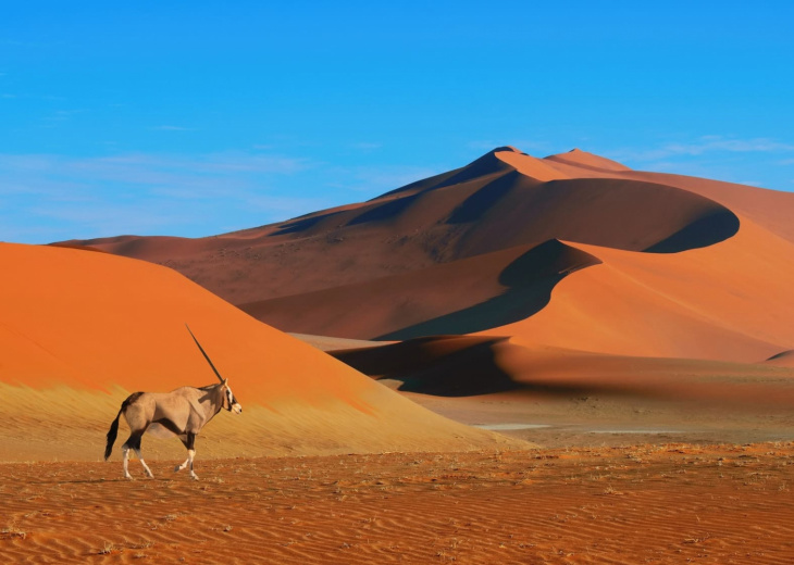 Désert de Namib​