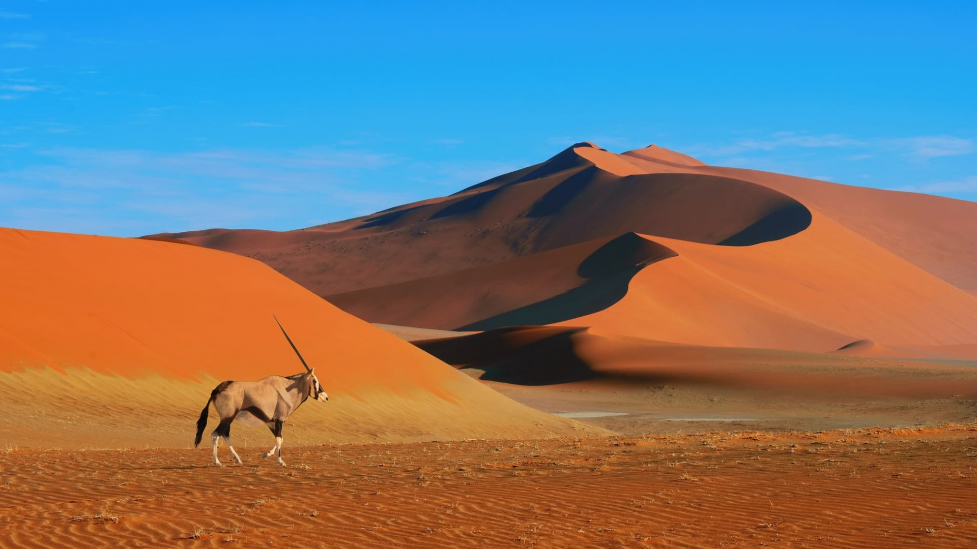 Désert de Namib​
