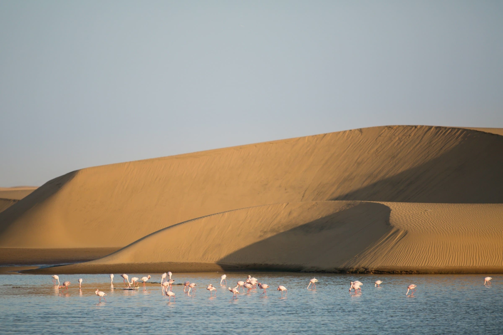 Walvis Bay