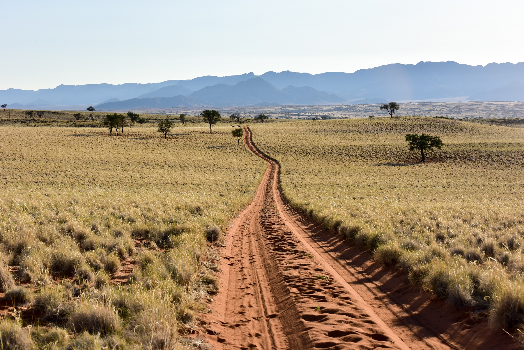 Namibie