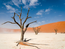 Namib-Naukluft​