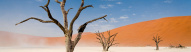namib-naukluft-namibie-cover