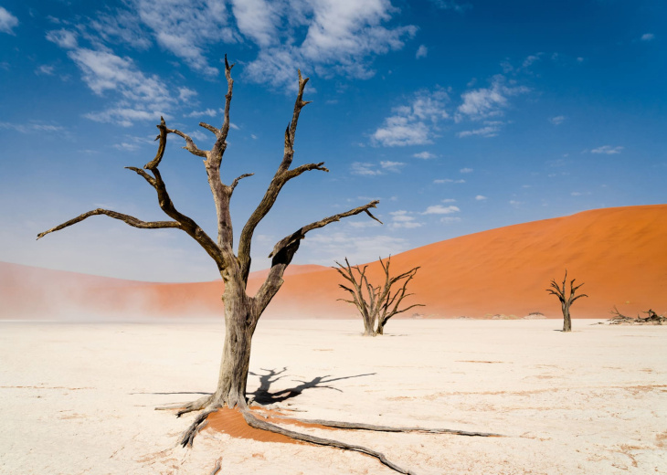 namib-naukluft-namibie-cover
