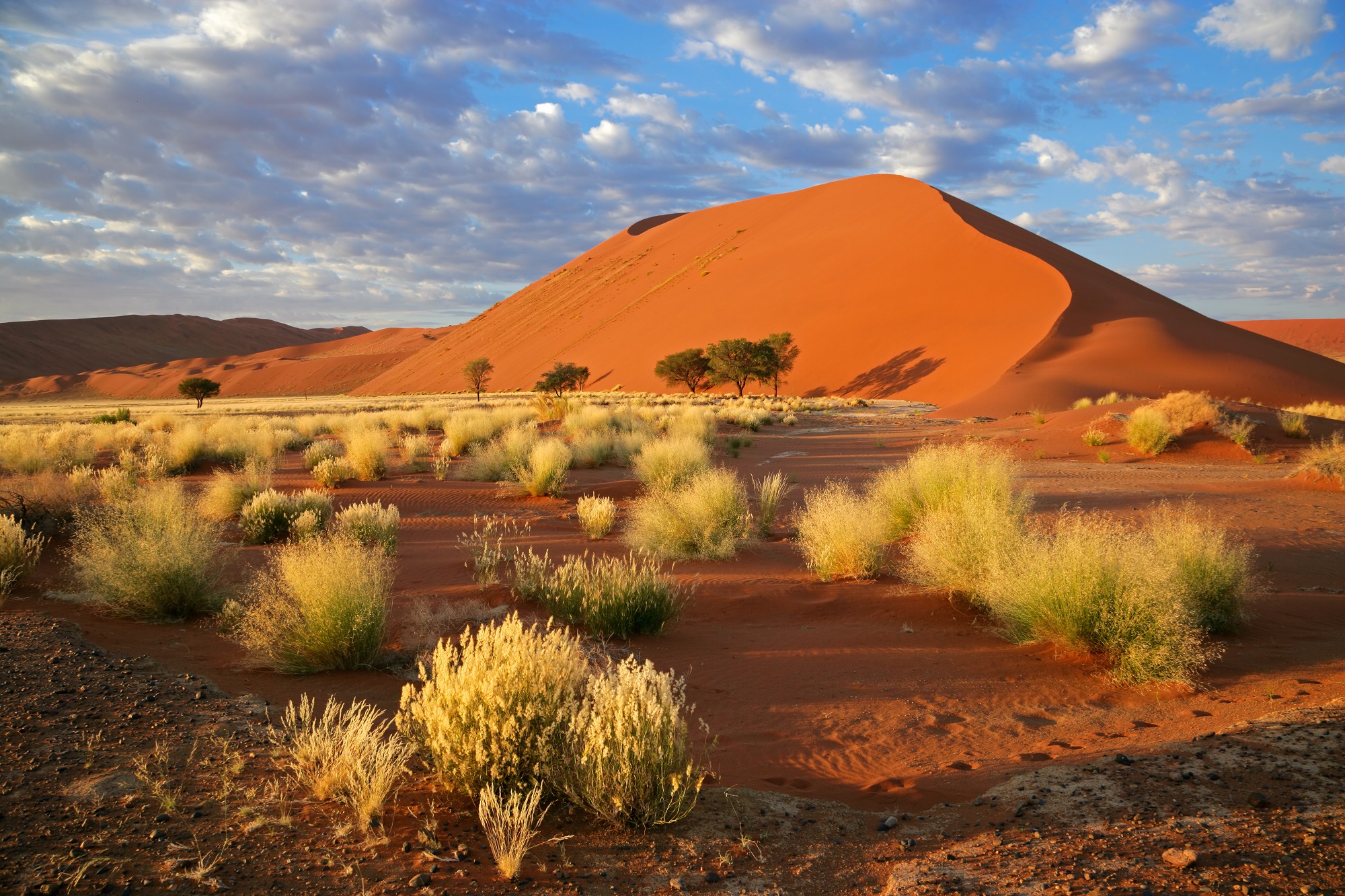 Dunes de Sossusvlei
