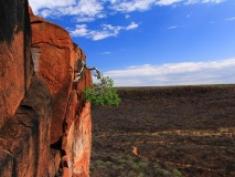 Plateau du Waterberg