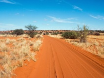 Piste de sable, Désert du Kalahari