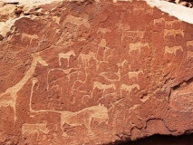 Petroglyph - Twyfeltontein