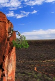 Plateau de Waterberg