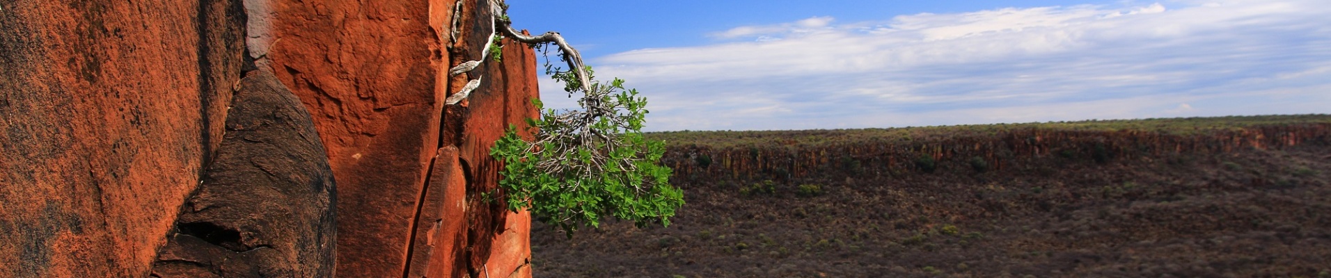 Plateau de Waterberg