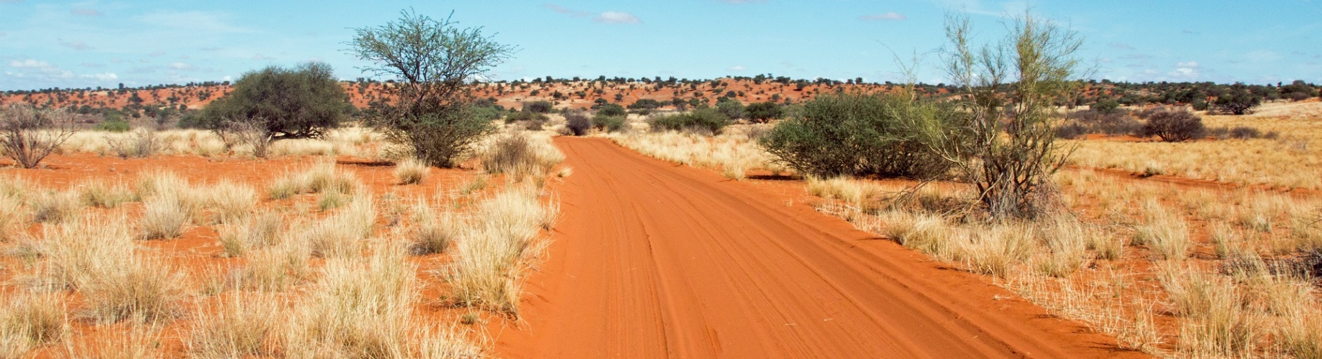 Piste dans le désert du Kalahari