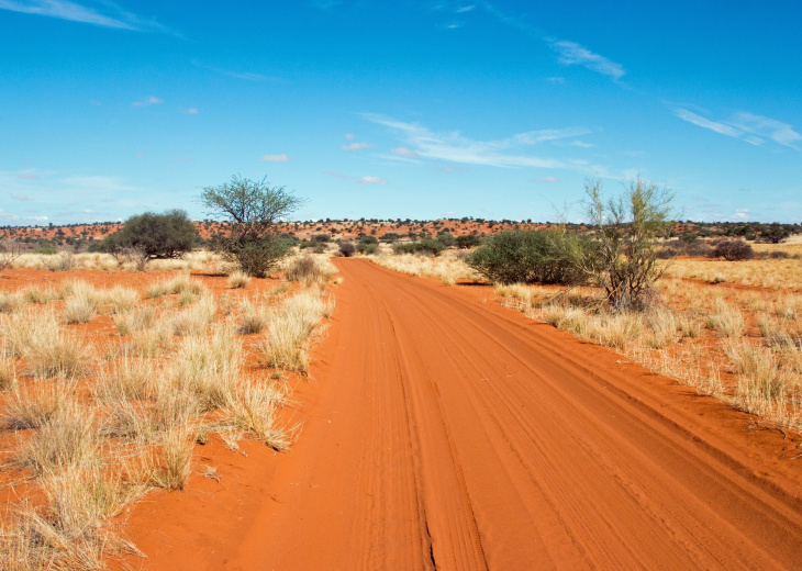 Piste dans le désert du Kalahari