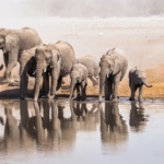 La Namibie en famille
