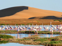 Walvis Bay