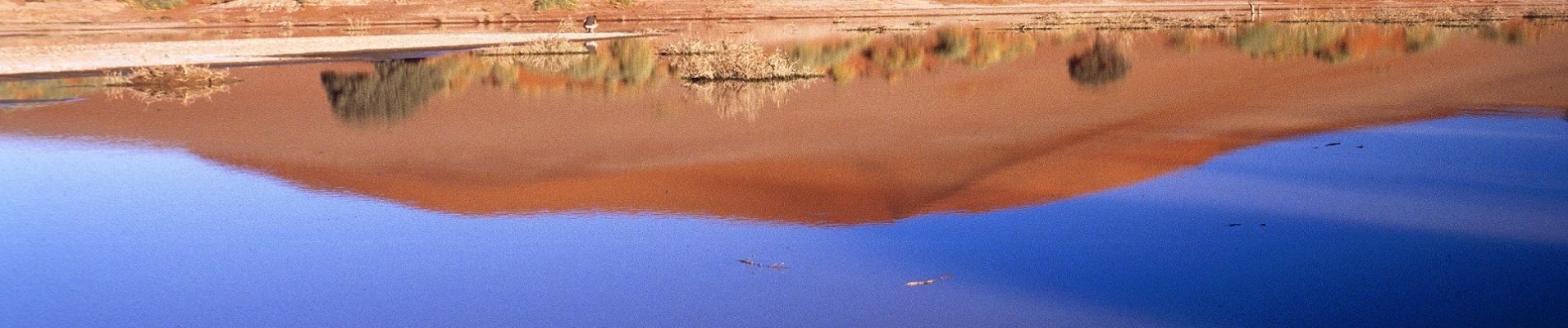 cookie-namibie