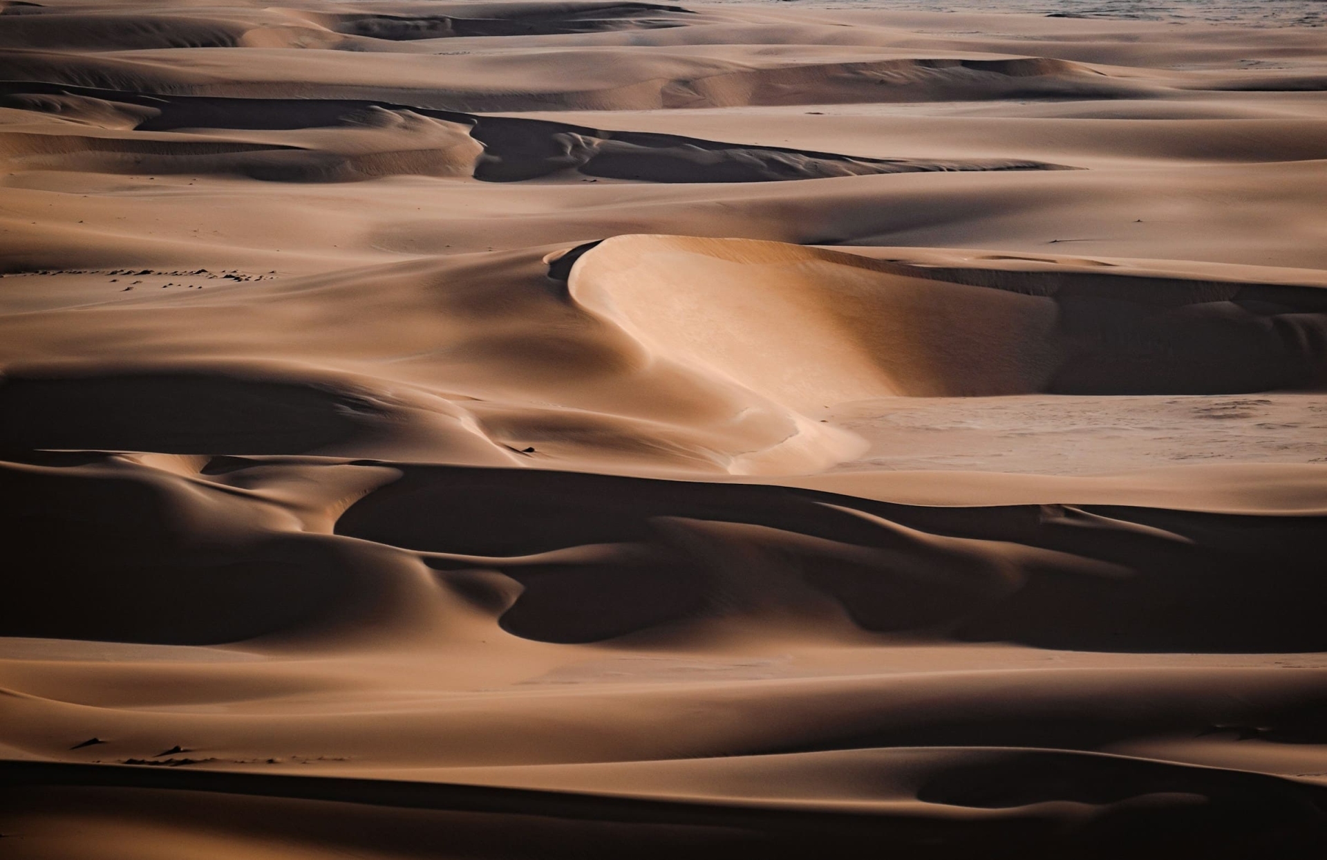 Désert du Namib