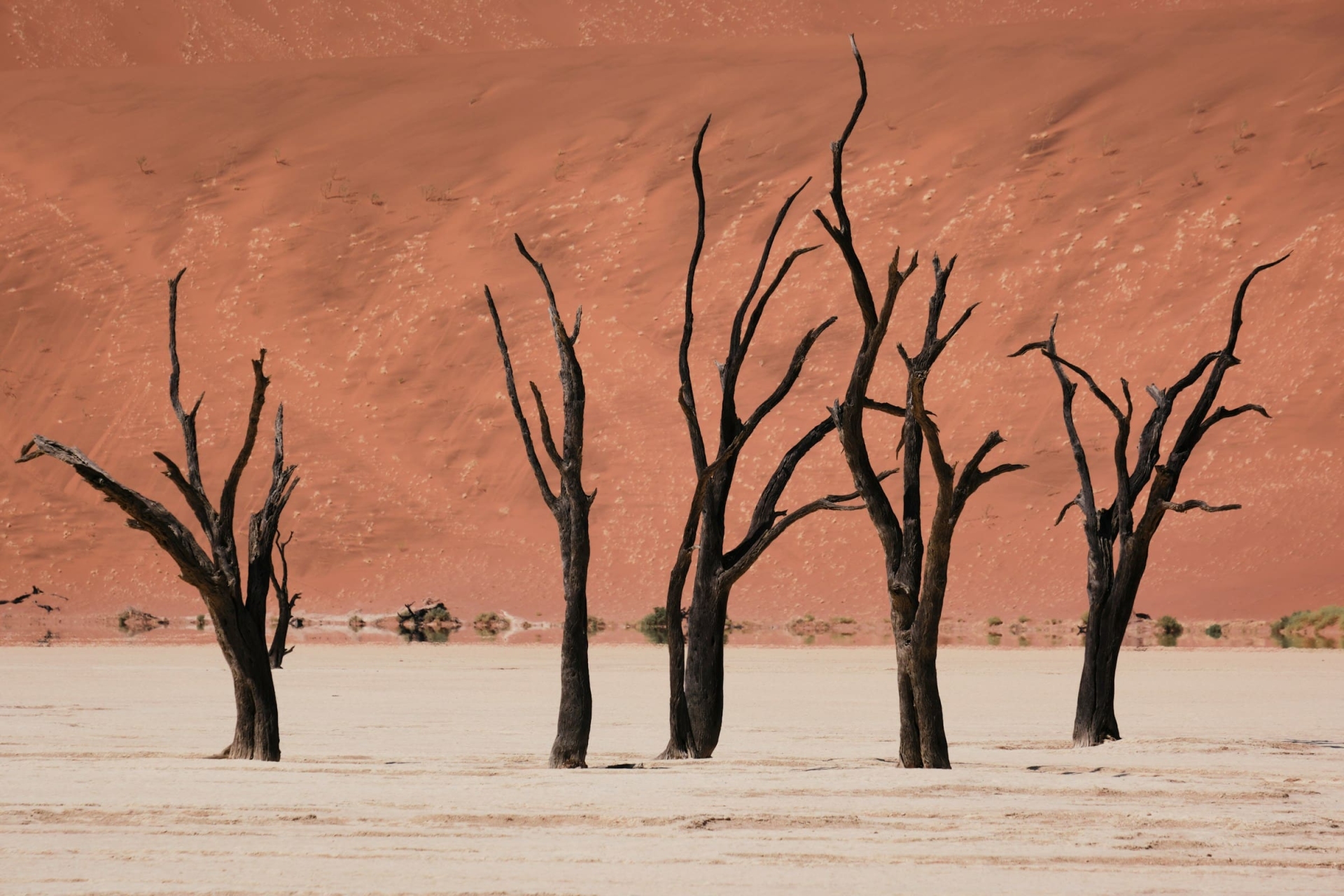 Deadvlei, Sossusvlei