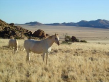 aus-cheveux-namibie