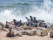 The seal colony at Cape Cross, on the atlantic coast of Namibia, Africa. View on the shoreline and the rough waving ocean.