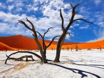 Deadvlei-sossusvlei-namibie