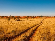 desert-kalahari-namibie