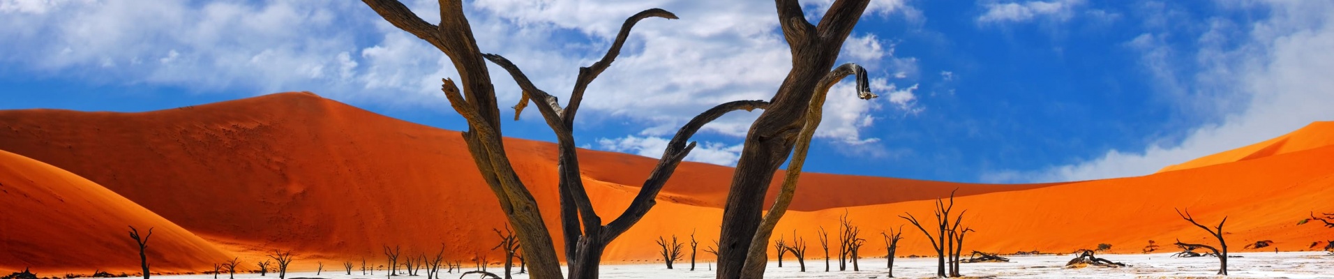 Dead Camelthorn Trees against red dunes and blue sky in Deadvlei, Sossusvlei. Namib-Naukluft National Park, Namibia, Africa