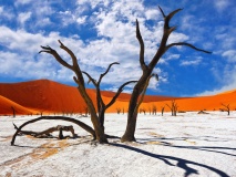 paysage-Deadvlei-sossusvlei-namibie