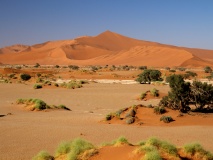 Desert du Namib-Namibie