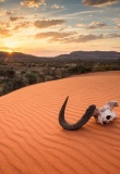 Kalahari - Namibie
