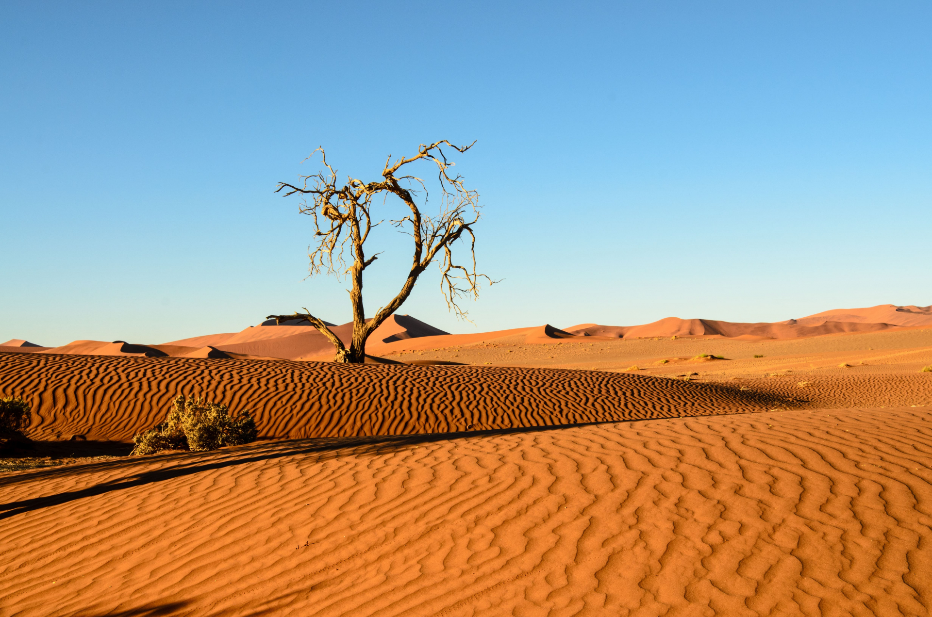 namibie-10-jours