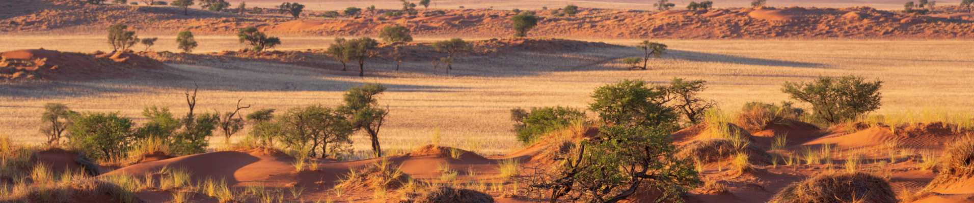 namibie-15-jours