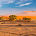 namibie-parc-national