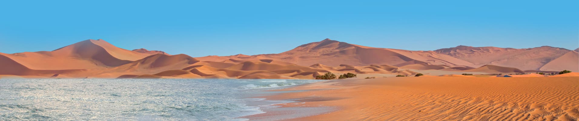 desert-namib-ocean-atlantique-namibie