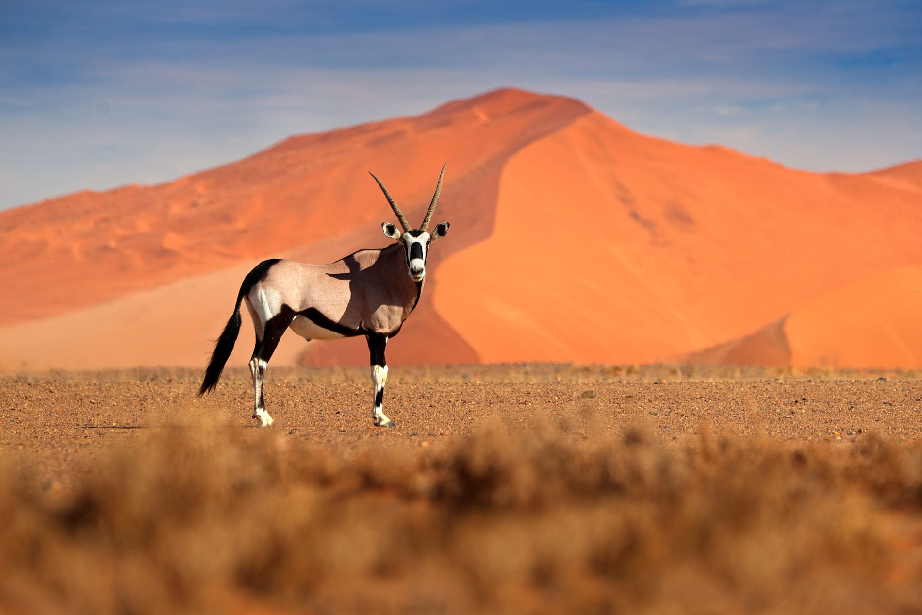 Dunes de Sossusvlei