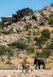 etosha