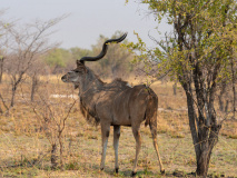 Parc national de Mudumu