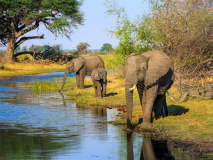 Parc National Bwabwata