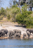 parc-national-chobe-botswana