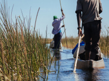 Safari Canoe à Okavango