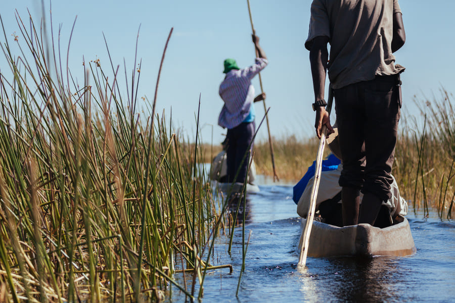 Safari Canoe à Okavango